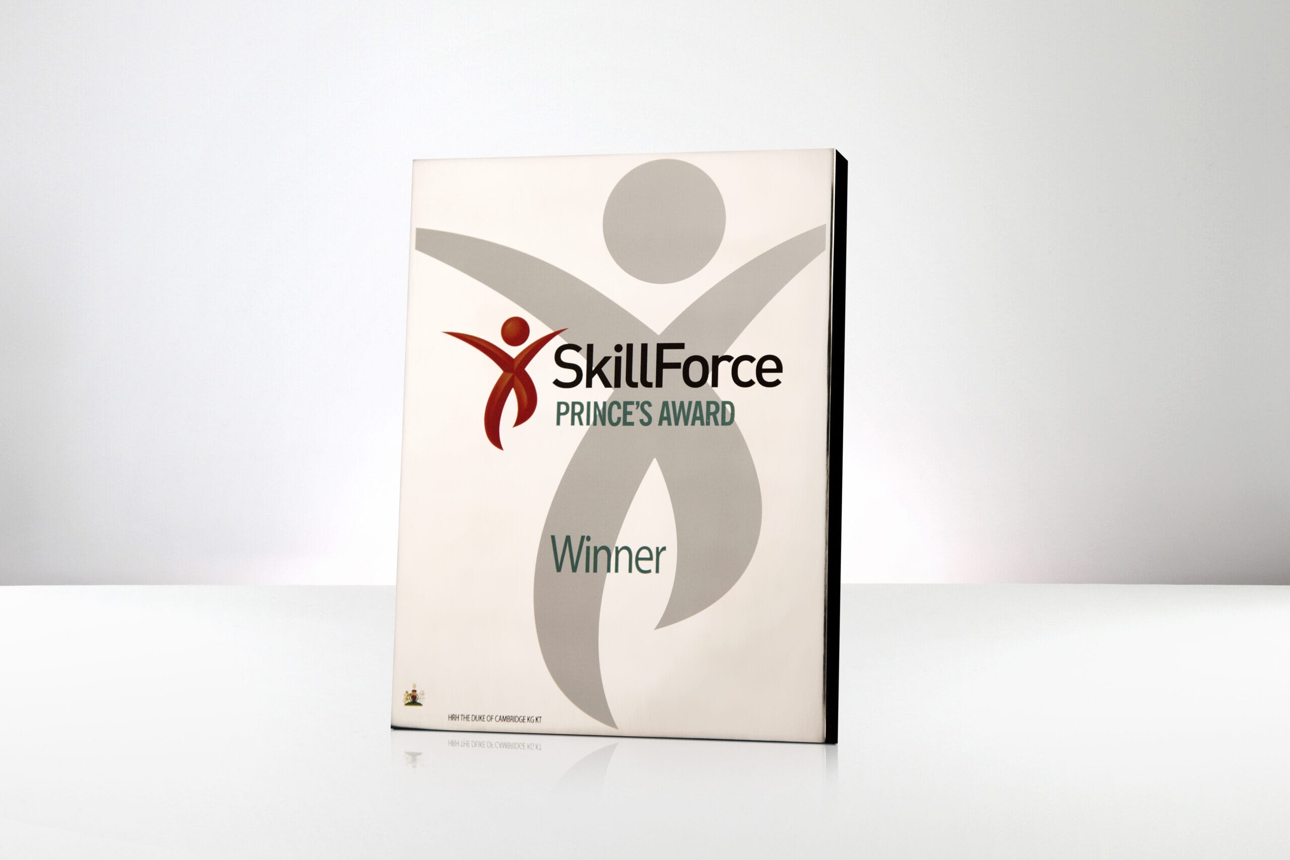 Skillforce-Princes-Award-1-copy-scaled