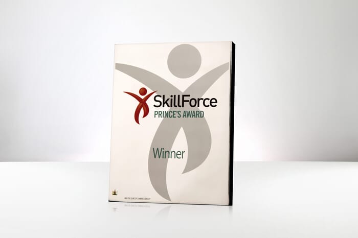 Skillforce-Princes-Award-1-copy-scaled