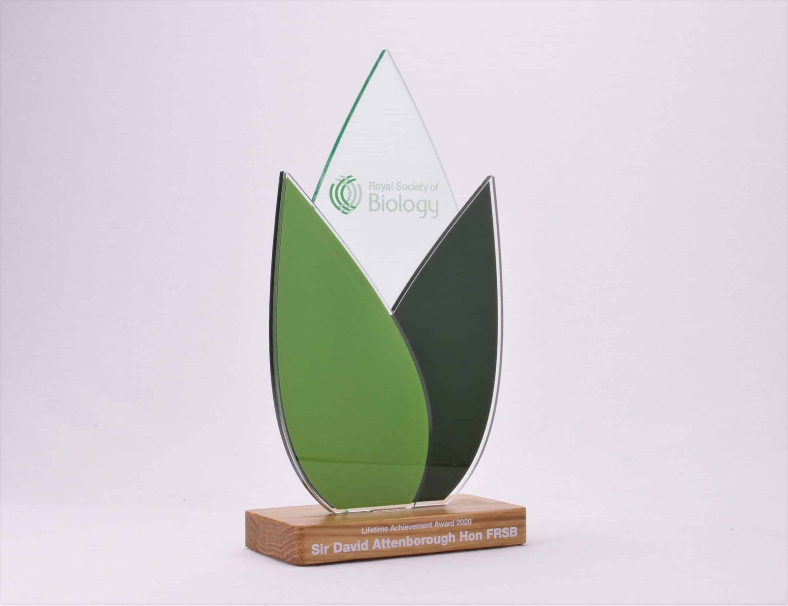 Recycled acrylic trophy for the RSB Lifetime Achievement Award
