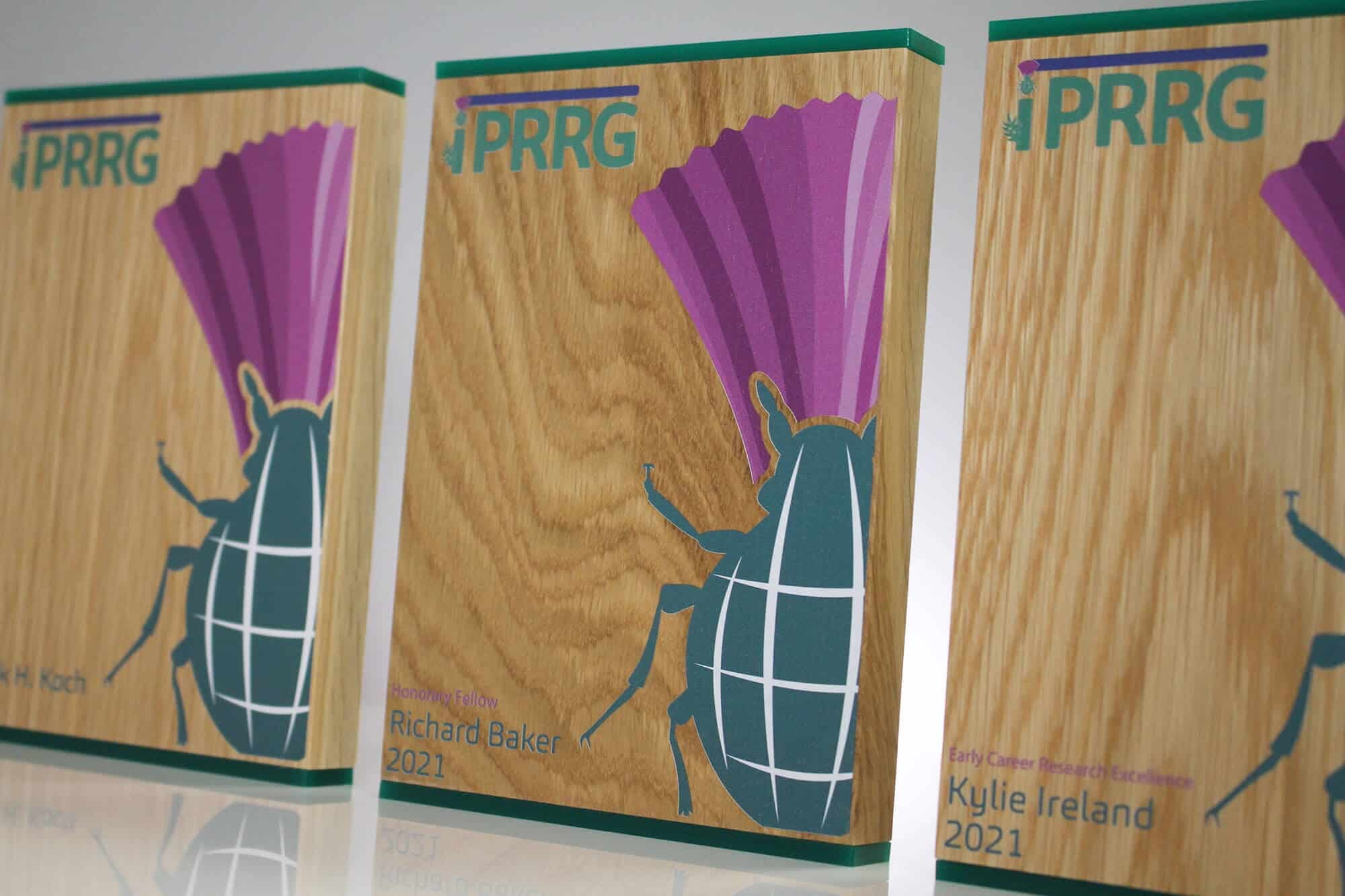 IPRRG-Award-3