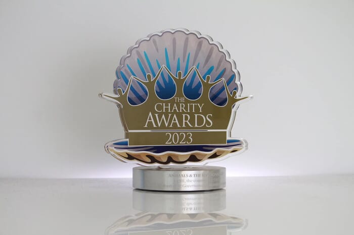 Charity-Awards-2023-2