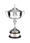 Loving cup-style trophy with a tall stem and short cup, mounted on a curved wooden base and topped with a golfer figurine
