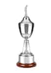 plain country club trophy for golf events, topped with a golfer figurine lid and featuring a tall stem with golf club detail and mounted on a curved rosewood finish base.