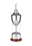 Golf trophy on a rounded wooden base, topped with a tall stem and simple cup, finished with golf club detail and a lid topped with a golfing figure