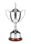 Nickel plated golf trophy with plain handles and a curved rosewood finish base, topped with a classic golfer figurine