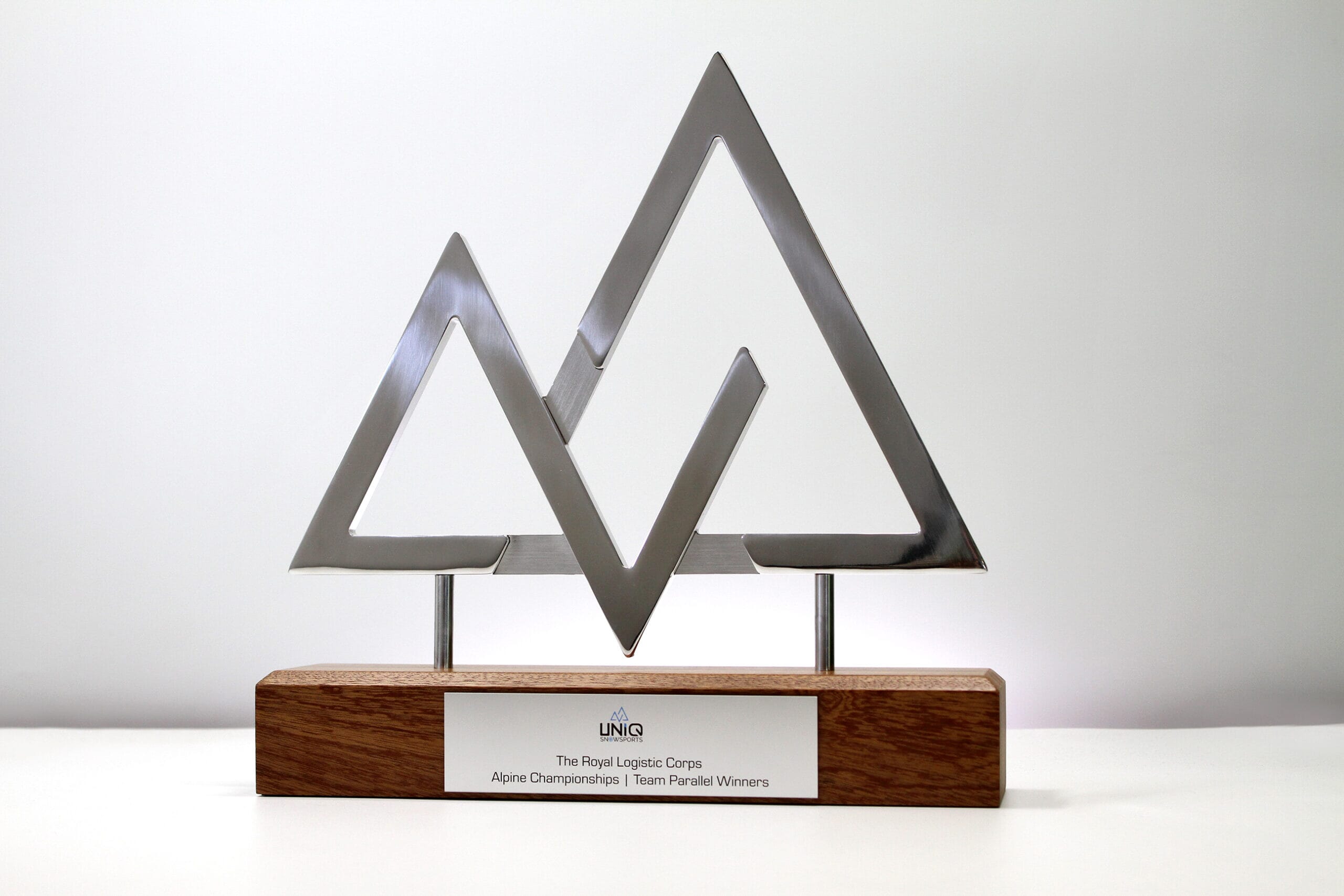 The Royal Logistics Corps Alpine Championships Award