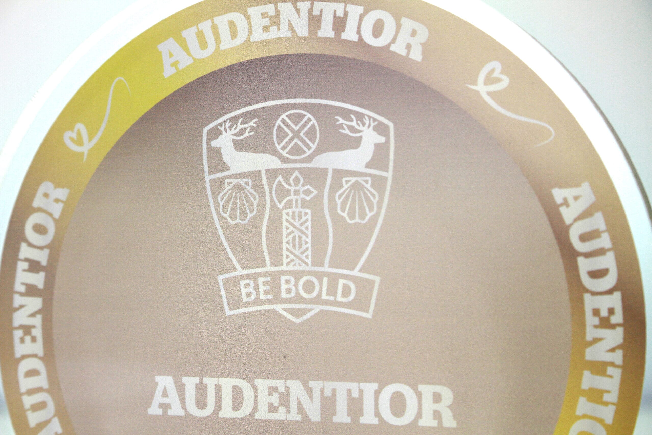 GA016166-Audentior-Awards-2025-5-scaled