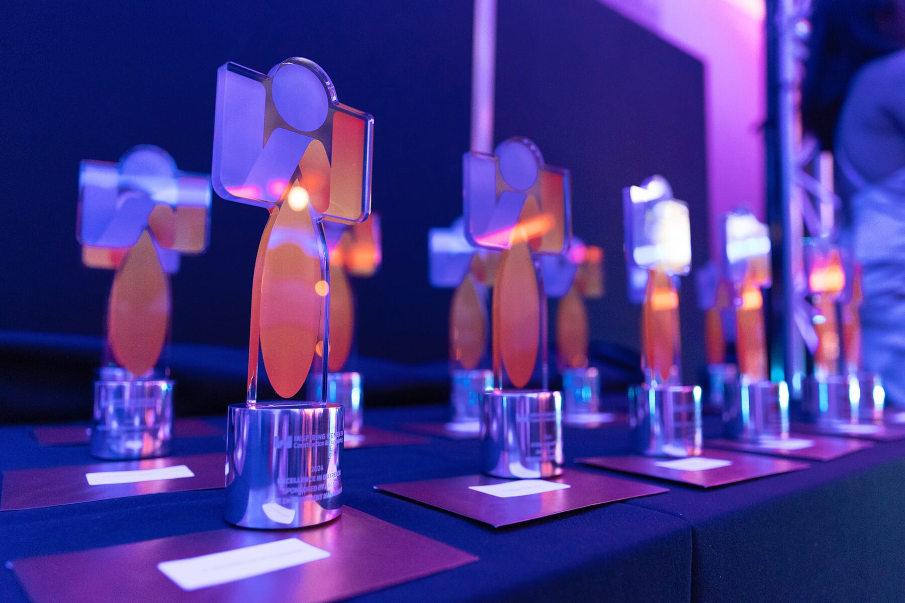 Inspiring Women in Construction & Engineering Event Photo - trophies