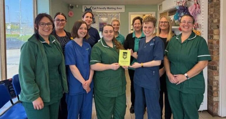 Swadlincote-Vets-768x403-1