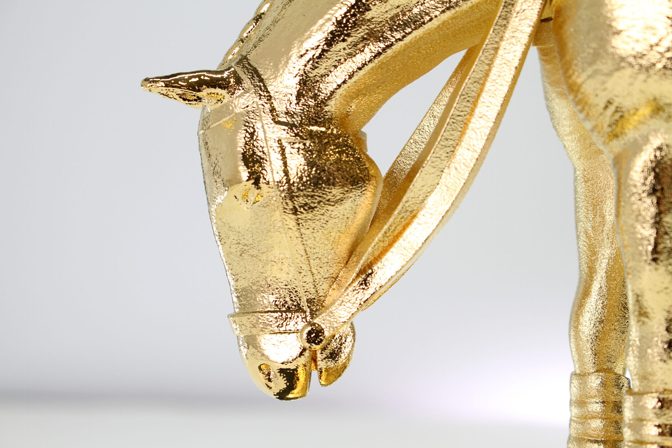 David-Anderson-Trophy-13