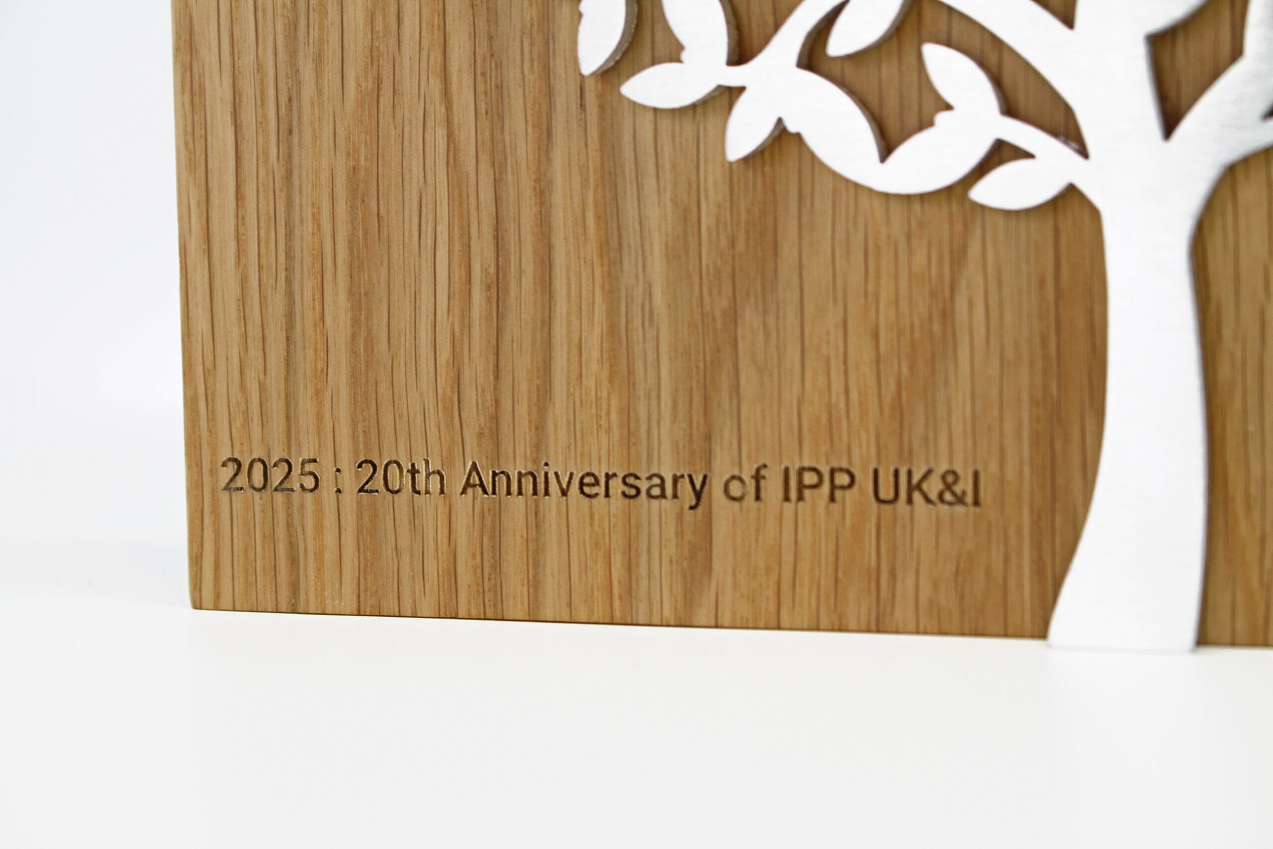 GA016408-20-Year-Anniversary-Celebration-Awards-Photo-4-scaled