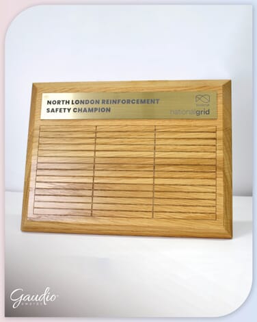 GA016544-North-London-Reinforcement-Safety-Champion-scaled
