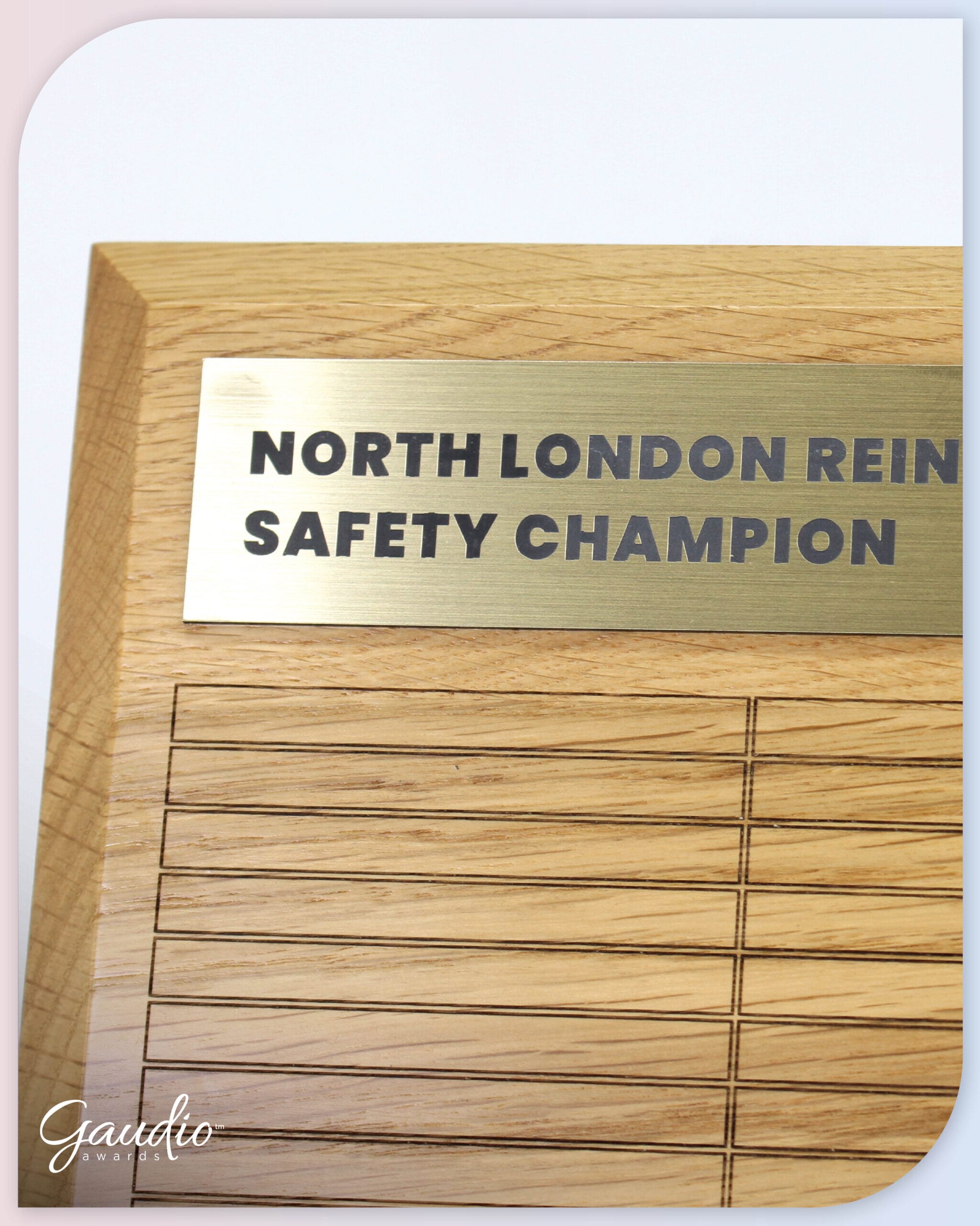 GA016544-North-London-Reinforcement-Safety-Champion3-scaled
