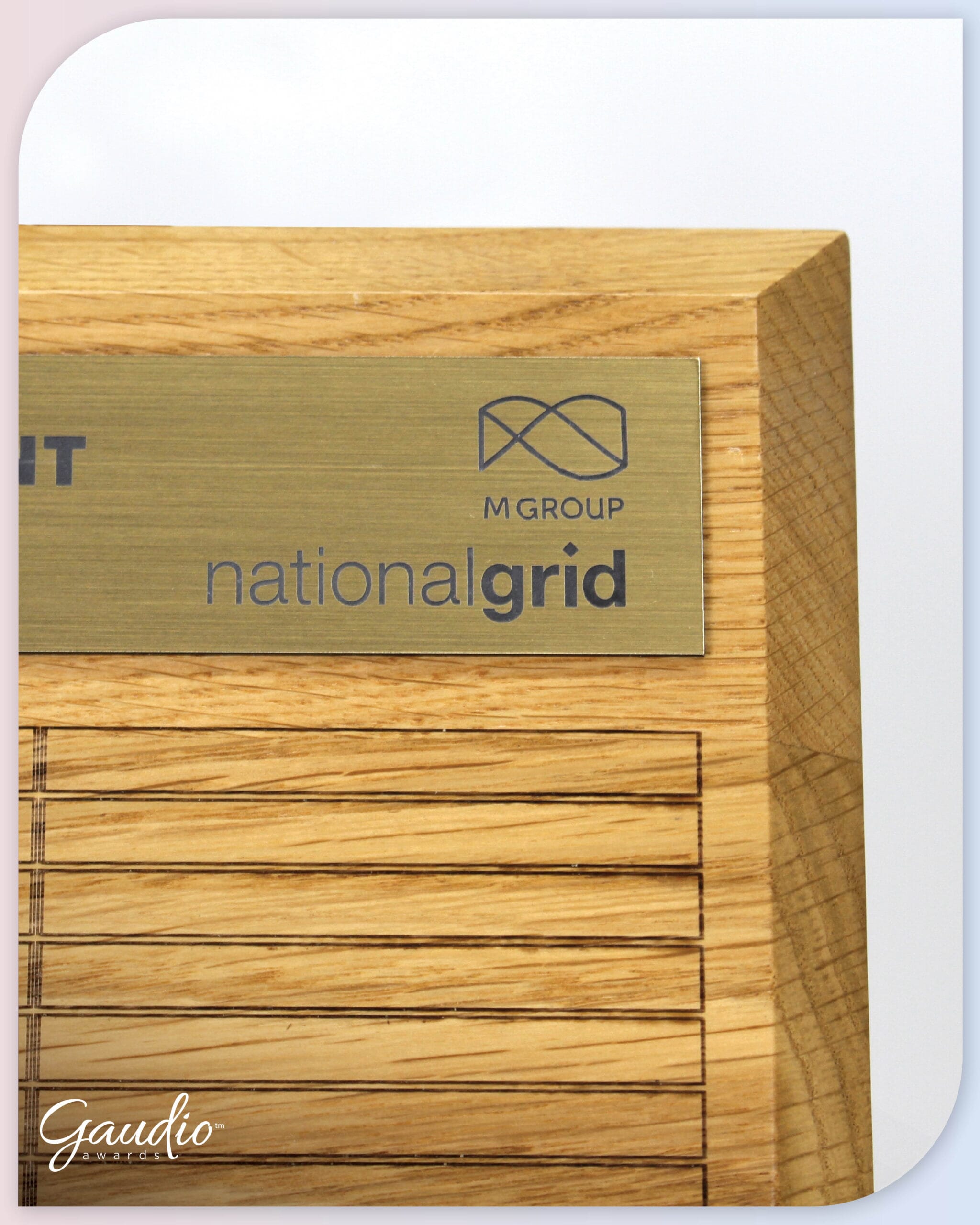 GA016544-North-London-Reinforcement-Safety-Champion4-scaled