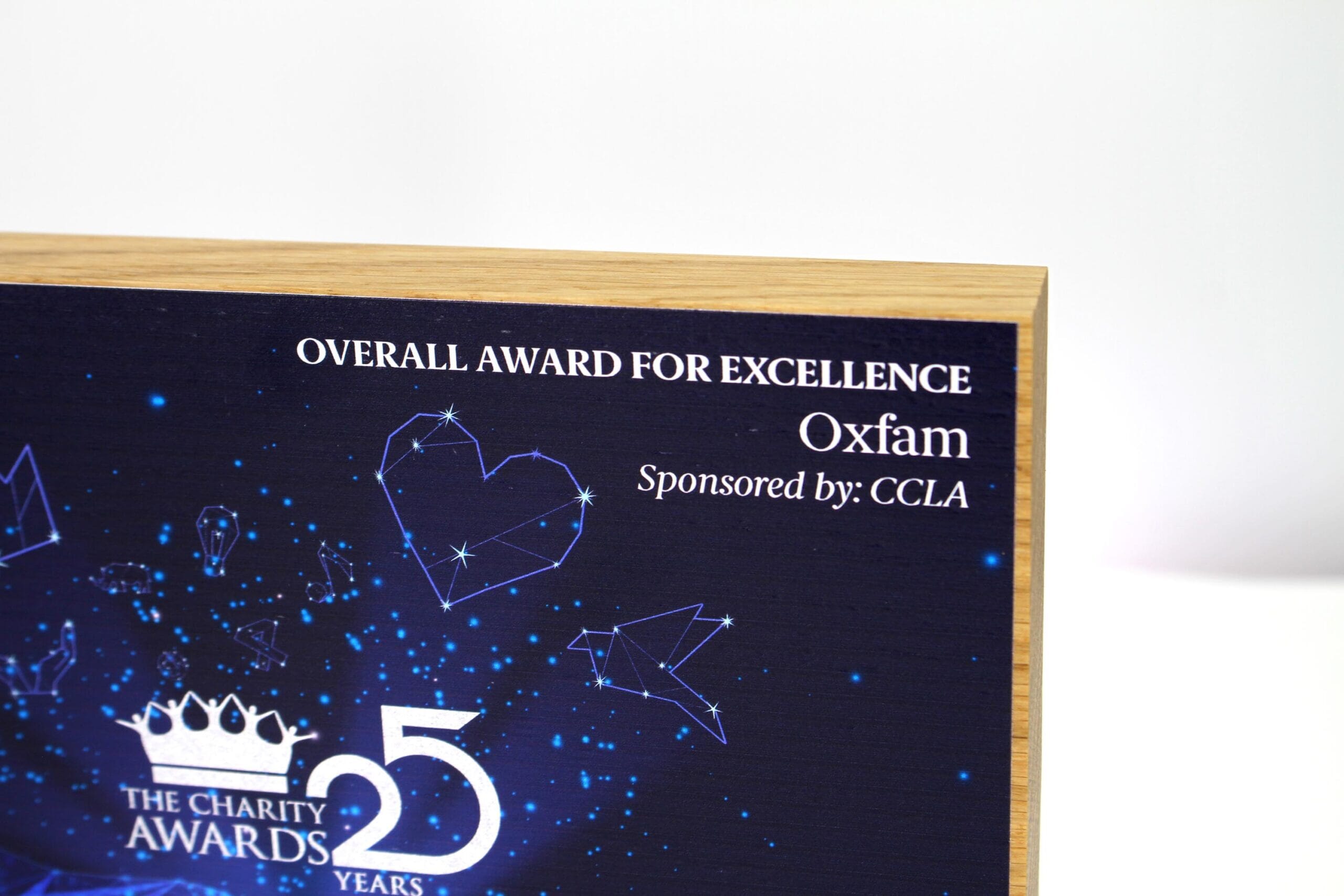 GA016563-The-Charity-Awards-2025-Photo-1-scaled