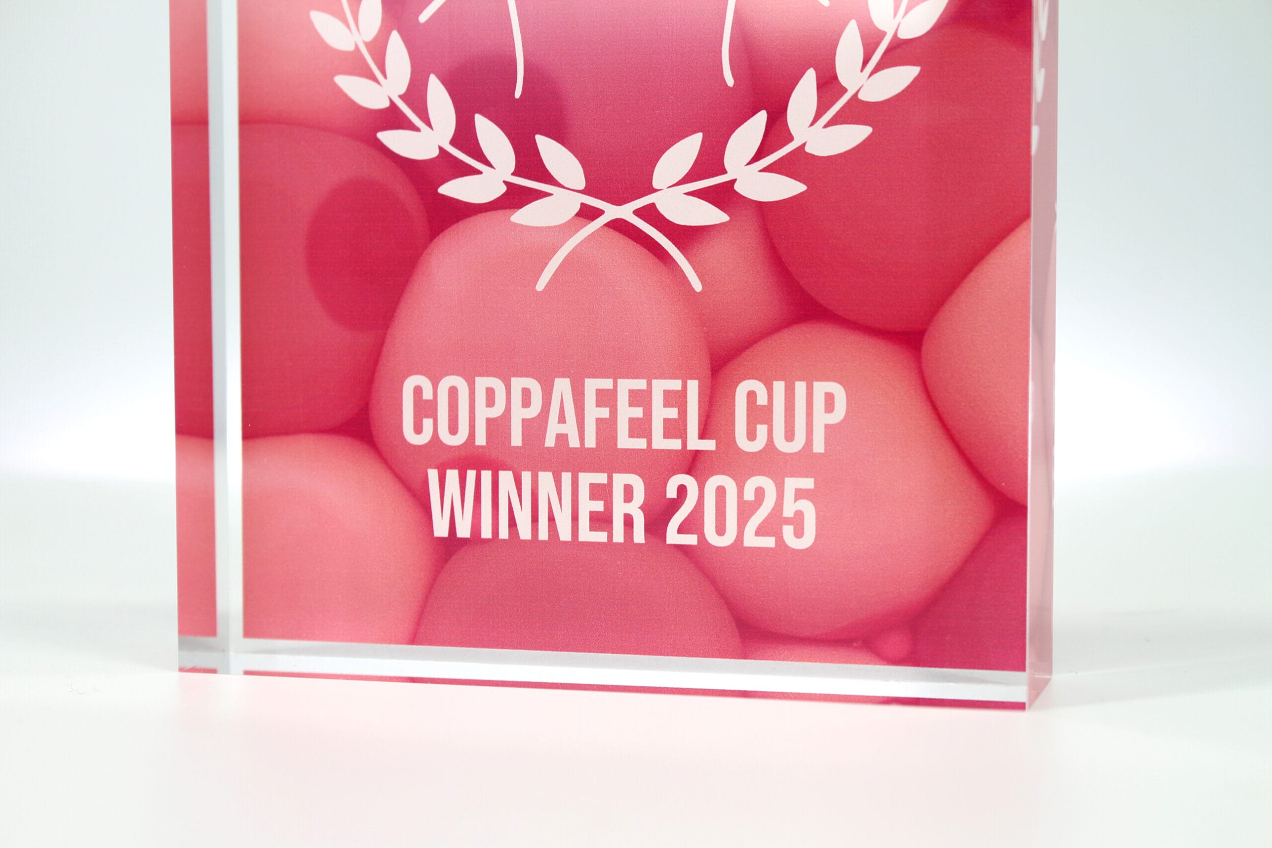 GA016594-CoppaFeel-Award-2025-Photo-1-scaled