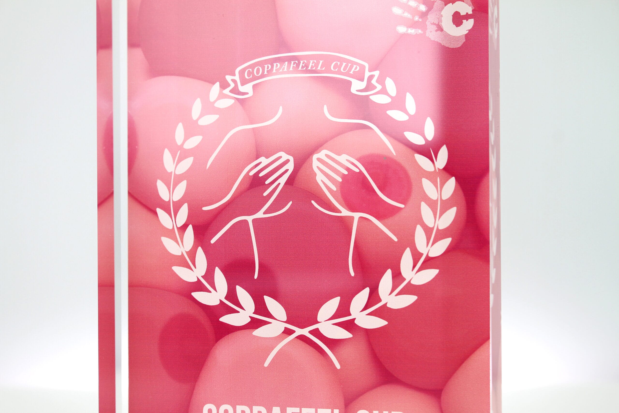 GA016594-CoppaFeel-Award-2025-Photo-8-scaled