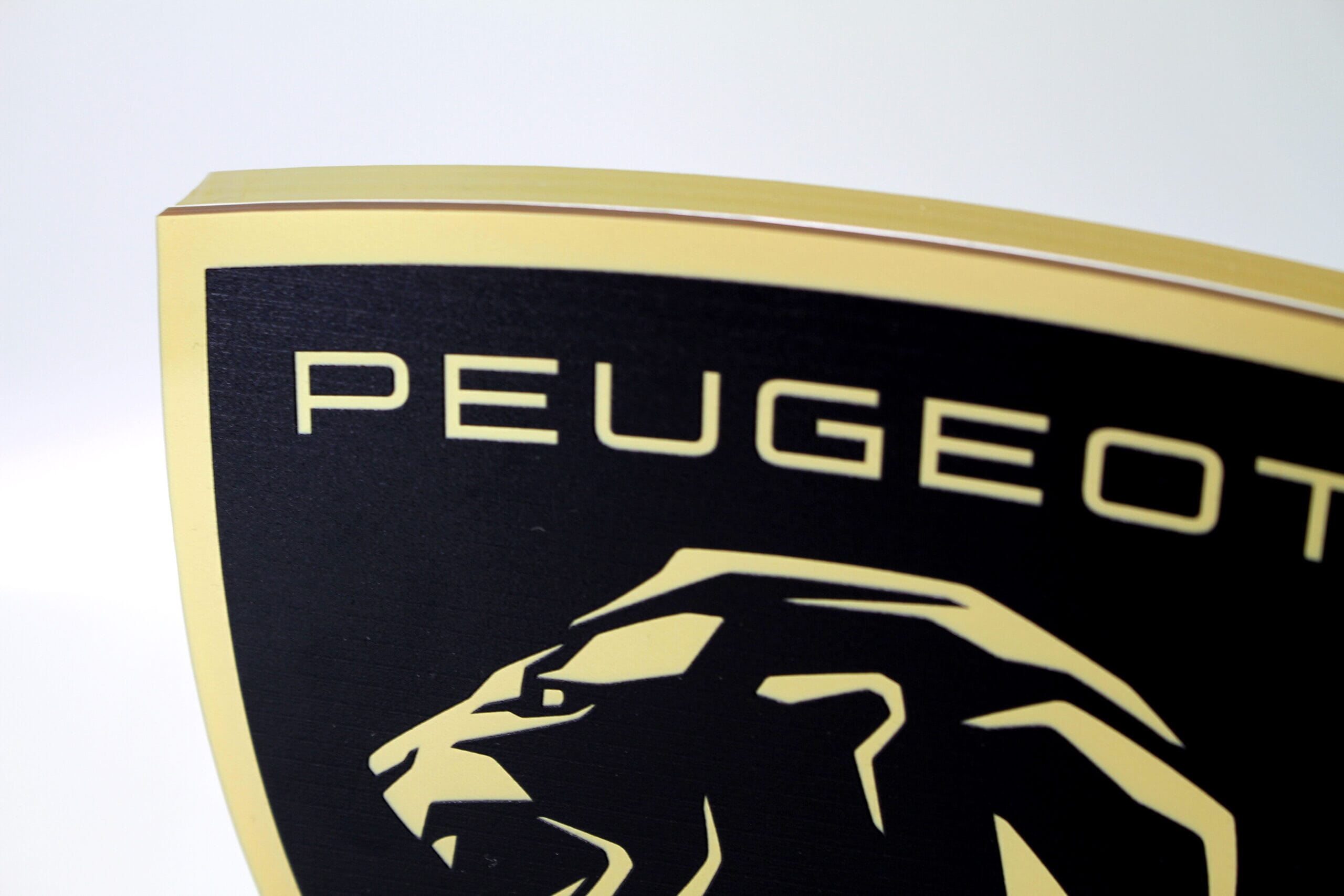 GA016642-Peugeot-Guild-of-Gold-Lion-Awards-2025-Photo-1-scaled