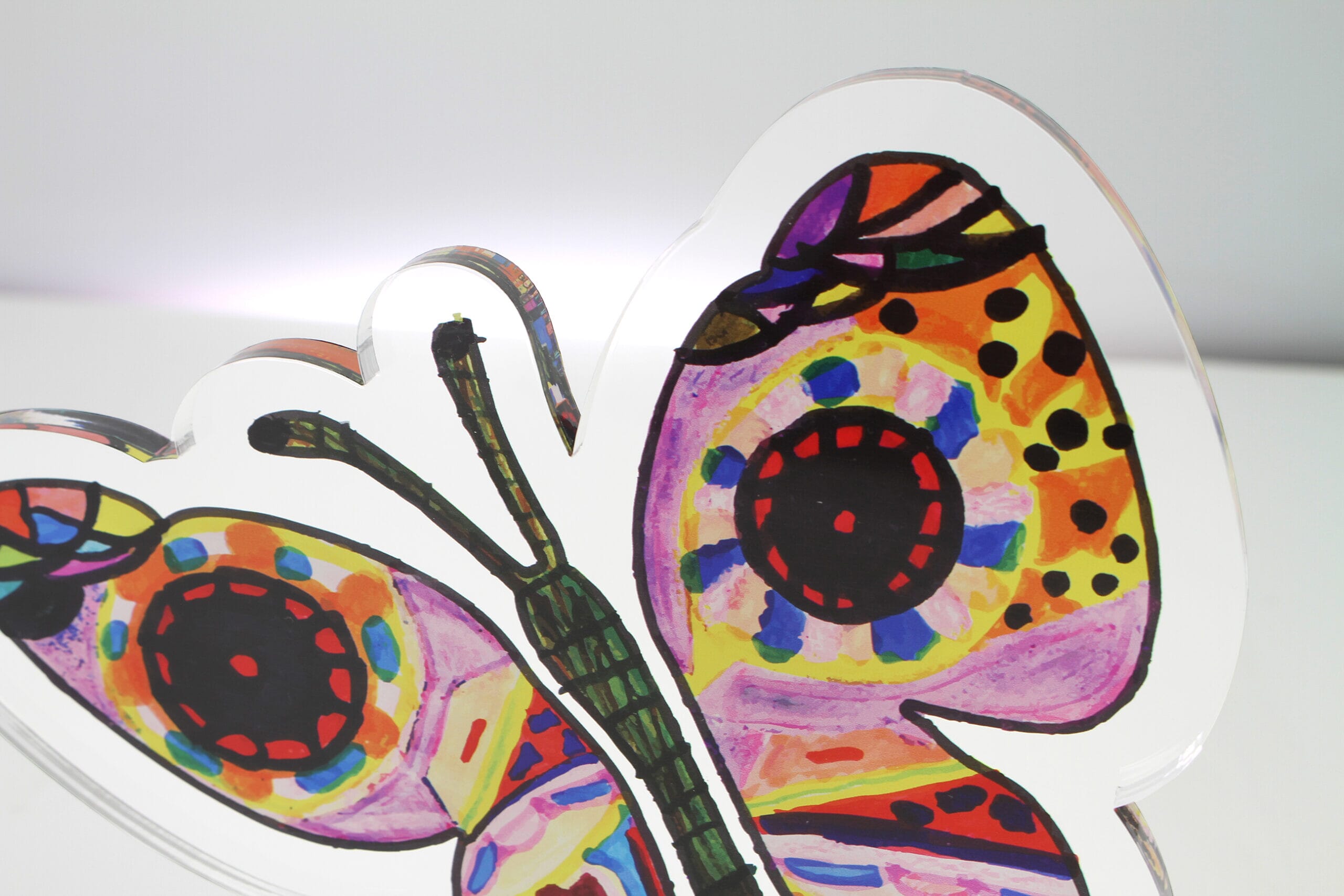 GA016701-Butterfly-Award-Photo-4-scaled