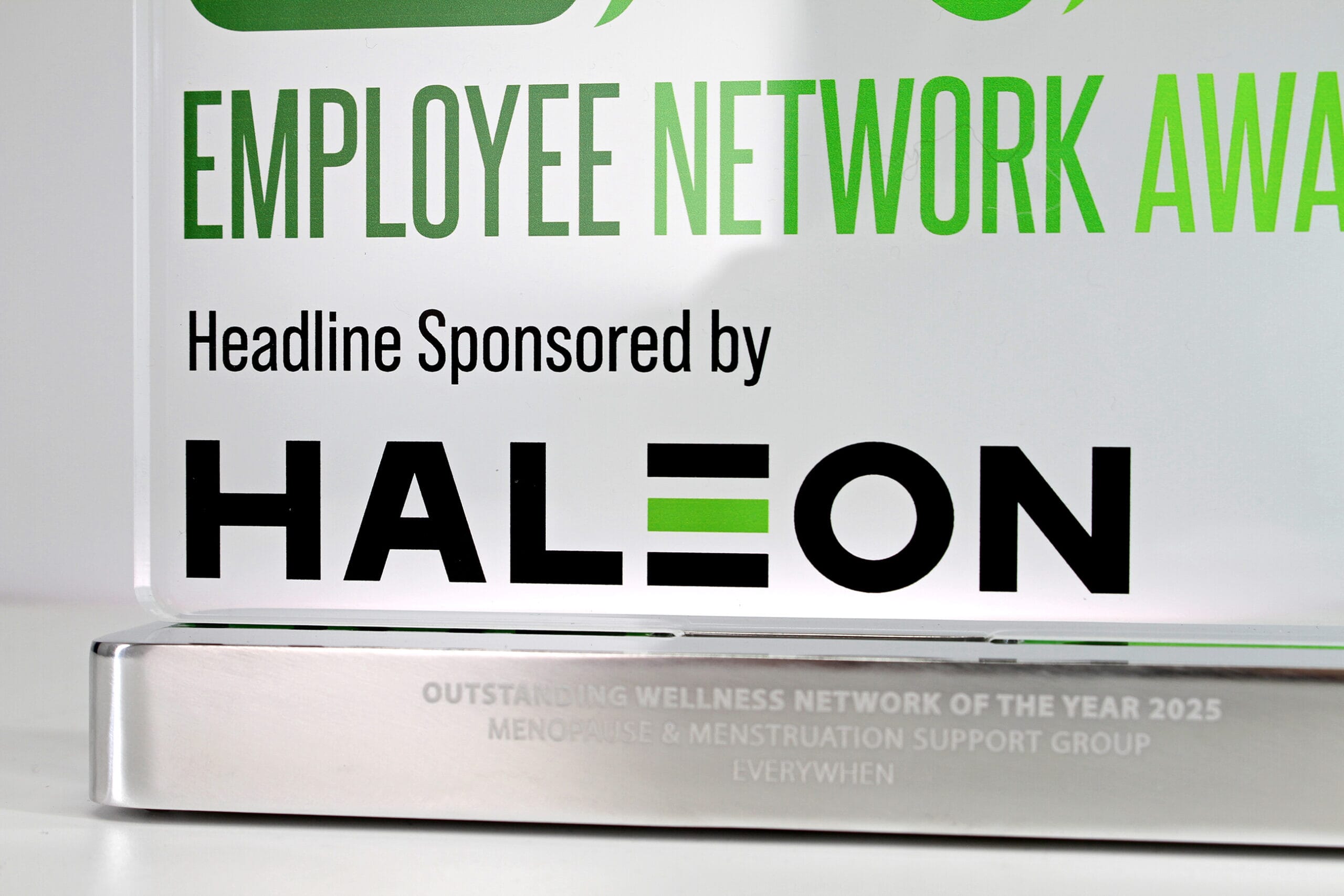 GA016867-Employee-Network-Awards-2025-Photo-5-scaled