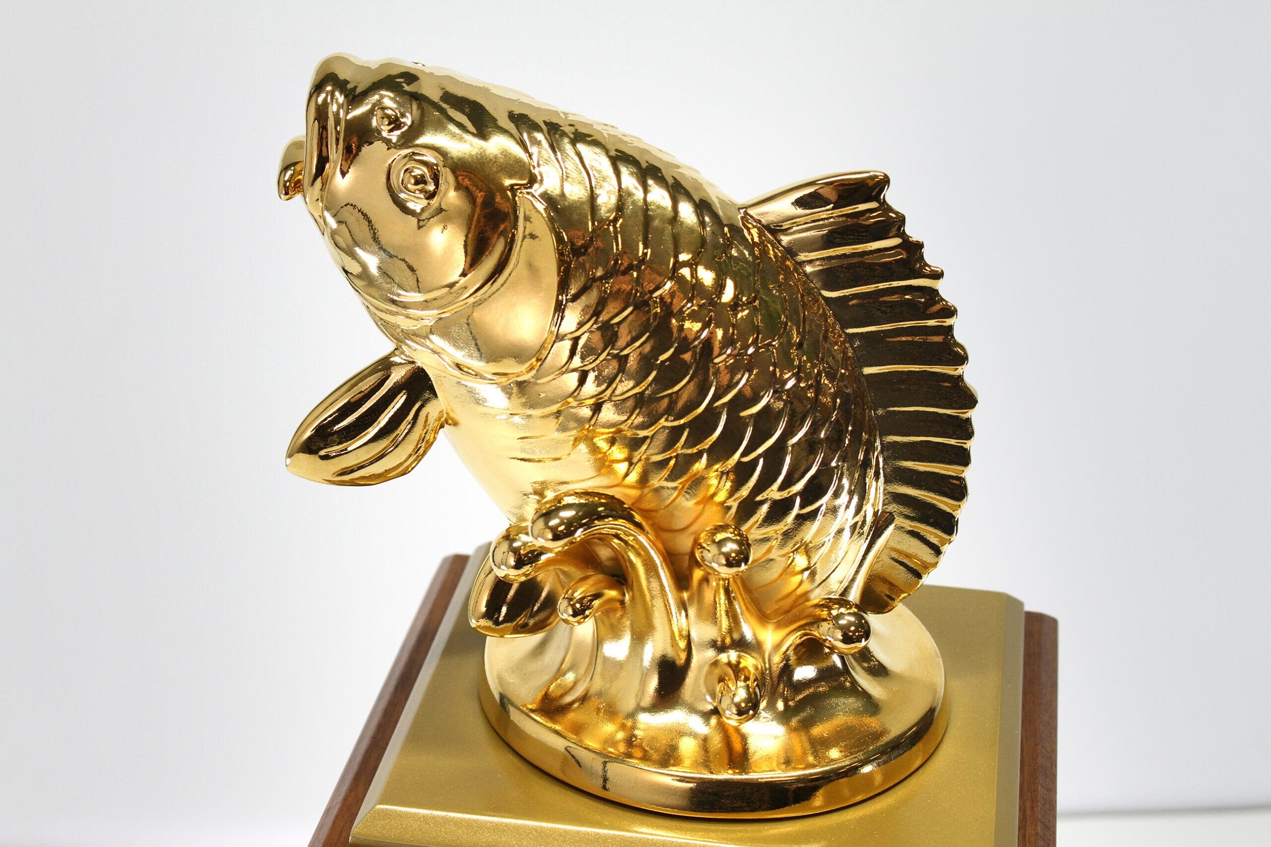 UK Carp Championships - 3d printed fish